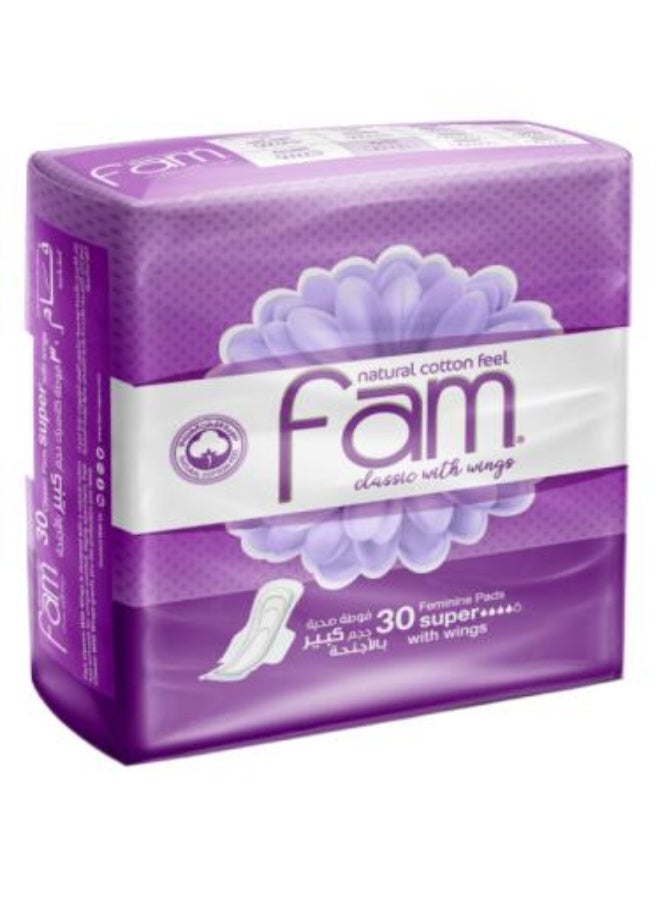 Sanitary Pads Regular Size With Wings 30 Count - Regular With Wings